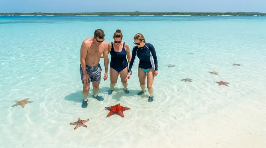 Saona island tour