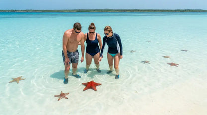 Saona island tour