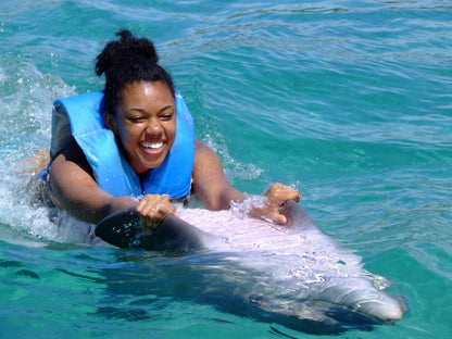 Extreme Dolphin Adventure
