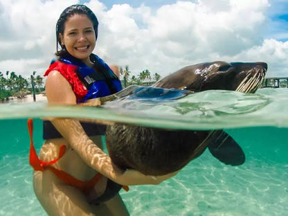 Extreme Dolphin Adventure